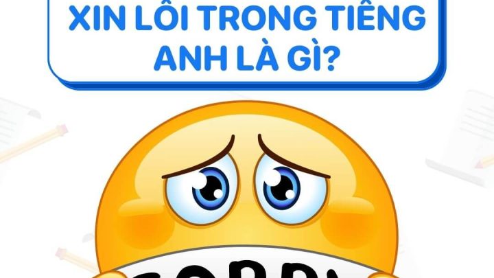 80+ câu xin lỗi tiếng Anh dùng cho các tình huống khác nhau