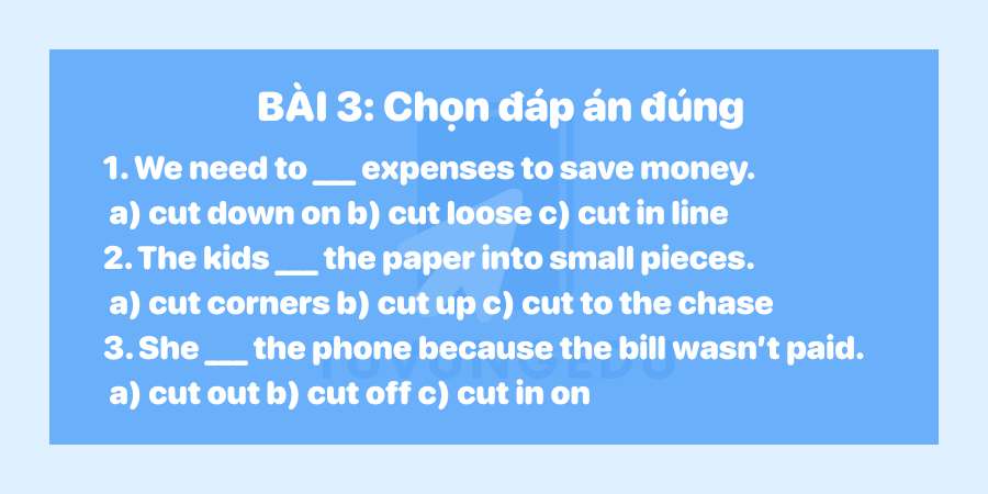 Bài tập vận dụng Cut phrasal verbs