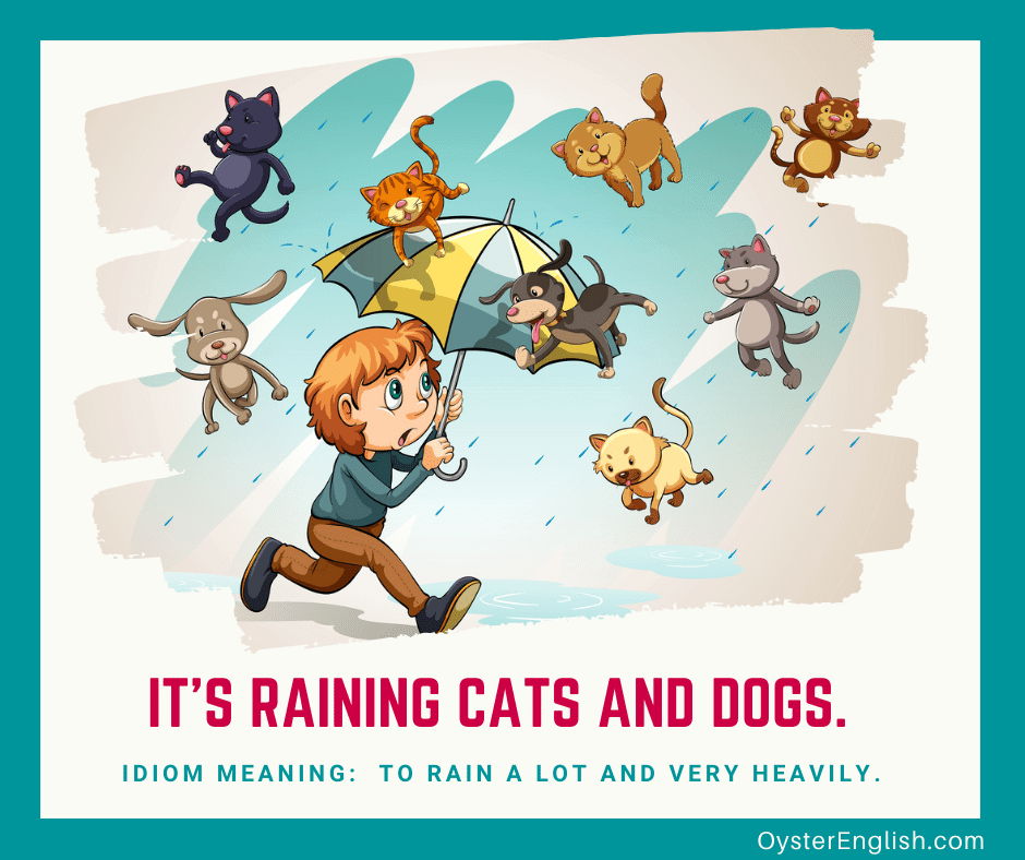 It’s raining cats and dogs