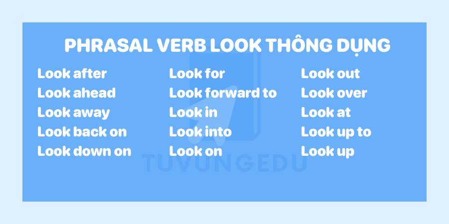 Một số phrasal verb Look thông dụng