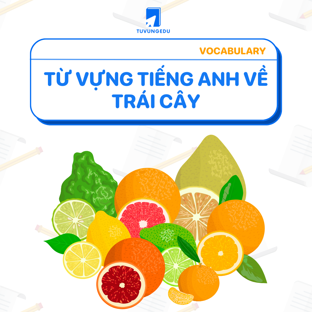 Tổng hợp từ vựng tiếng Anh về trái cây